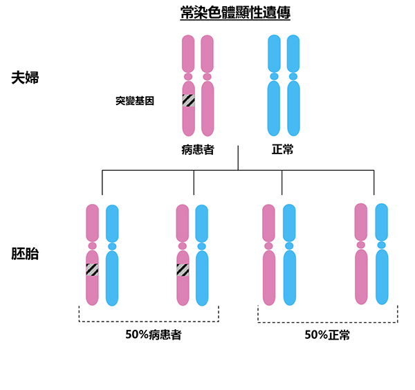 常染色體顯性遺傳病